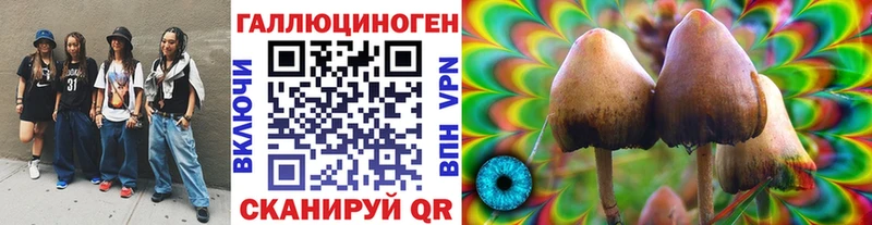 Галлюциногенные грибы Cubensis  Дубна 