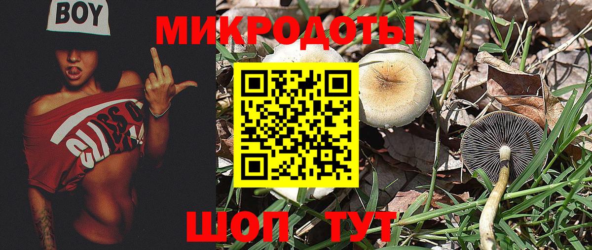 Дубна  Псилоцибиновые грибы мухоморы  Вход с VPN 
