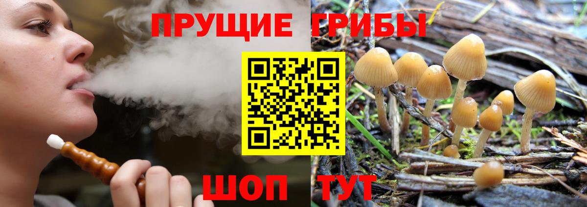 Галлюциногенные грибы прущие грибы Дубна