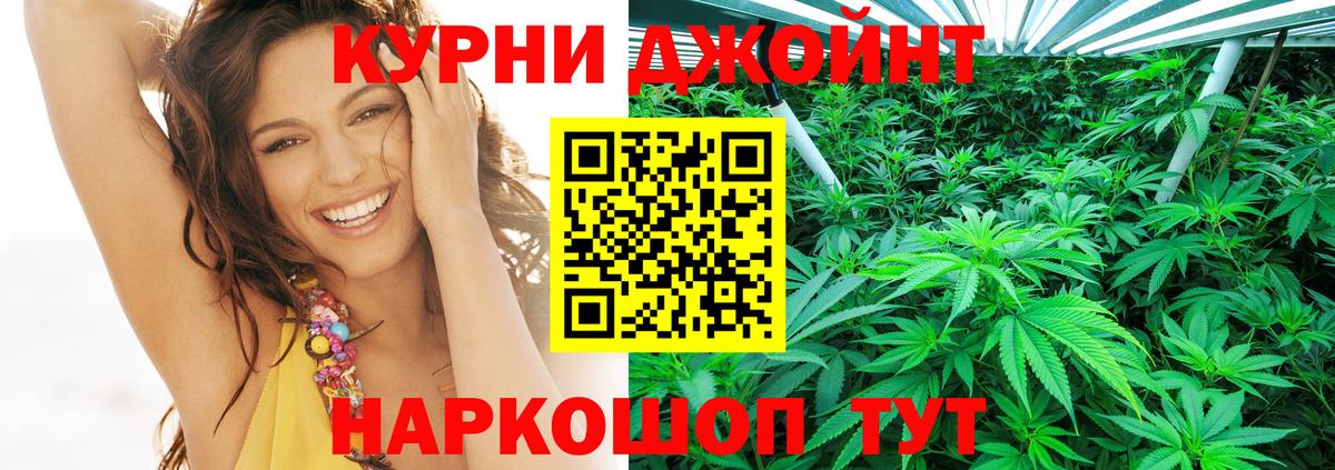 Бошки марихуана индика Дубна